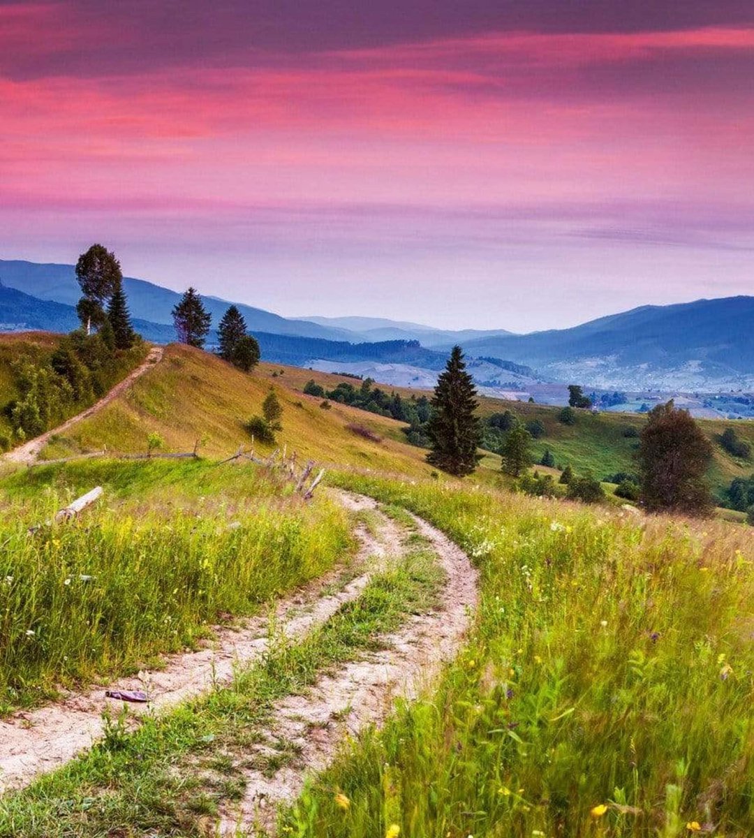 Fotobehang - Blooming Hills 225x250cm - Vliesbehang