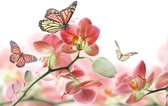 Fotobehang - Orchids and Butterfly 375x250cm - Vliesbehang