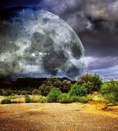 Fotobehang - Moon 225x250cm - Vliesbehang