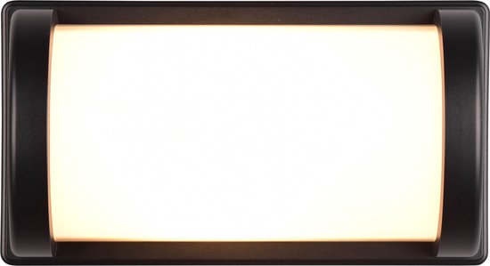 REALITY PUELO - Wandlamp - Zwart mat - excl. 1x E27 4W - Buitenverlichting - IP44