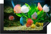 KitchenYeah® Inductie beschermer 81.2x52 cm - Vissen in een aquarium - Kookplaataccessoires - Afdekplaat voor kookplaat - Inductiebeschermer - Inductiemat - Inductieplaat mat