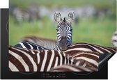 KitchenYeah® Inductie beschermer 76x51.5 cm - Opvallende zebra - Kookplaataccessoires - Afdekplaat voor kookplaat - Inductiebeschermer - Inductiemat - Inductieplaat mat