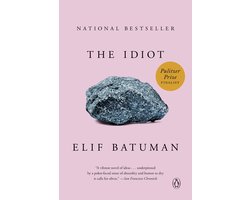 Omslag van The Idiot A Novel