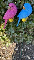 Decoratieve tuinstekers "papegaaien" - Set van 2 stuks - polyresin papegaaien en metalen stekers - roze en blauw - hoogte 50 x 16 x 7 cm - Tuinaccessoires - Tuindecoratie – Tuinstekers