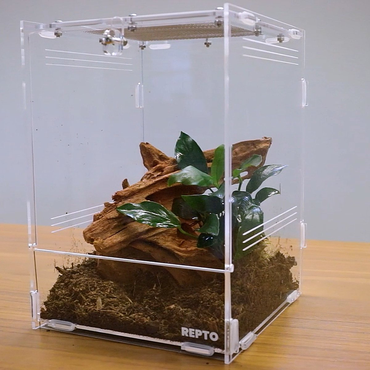 Repto Terra Clear - Insecten Terrarium - 20x15x15 cm op Prijzenvolger.com