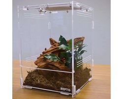 Repto Terra Clear - Insecten Terrarium - 20x15x15 cm
