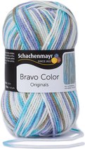 Schachenmayr Bravo Color 50 Gram - 2125