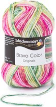 Schachenmayr Bravo Color 50 Gram - 2123