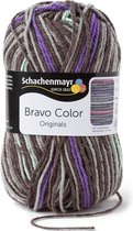 Schachenmayr Bravo Color 50 Gram - 2107
