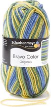 Schachenmayr Bravo Color 50 Gram - 2093