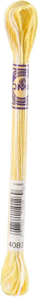 DMC 4080 Mouliné Color Variations borduurgaren