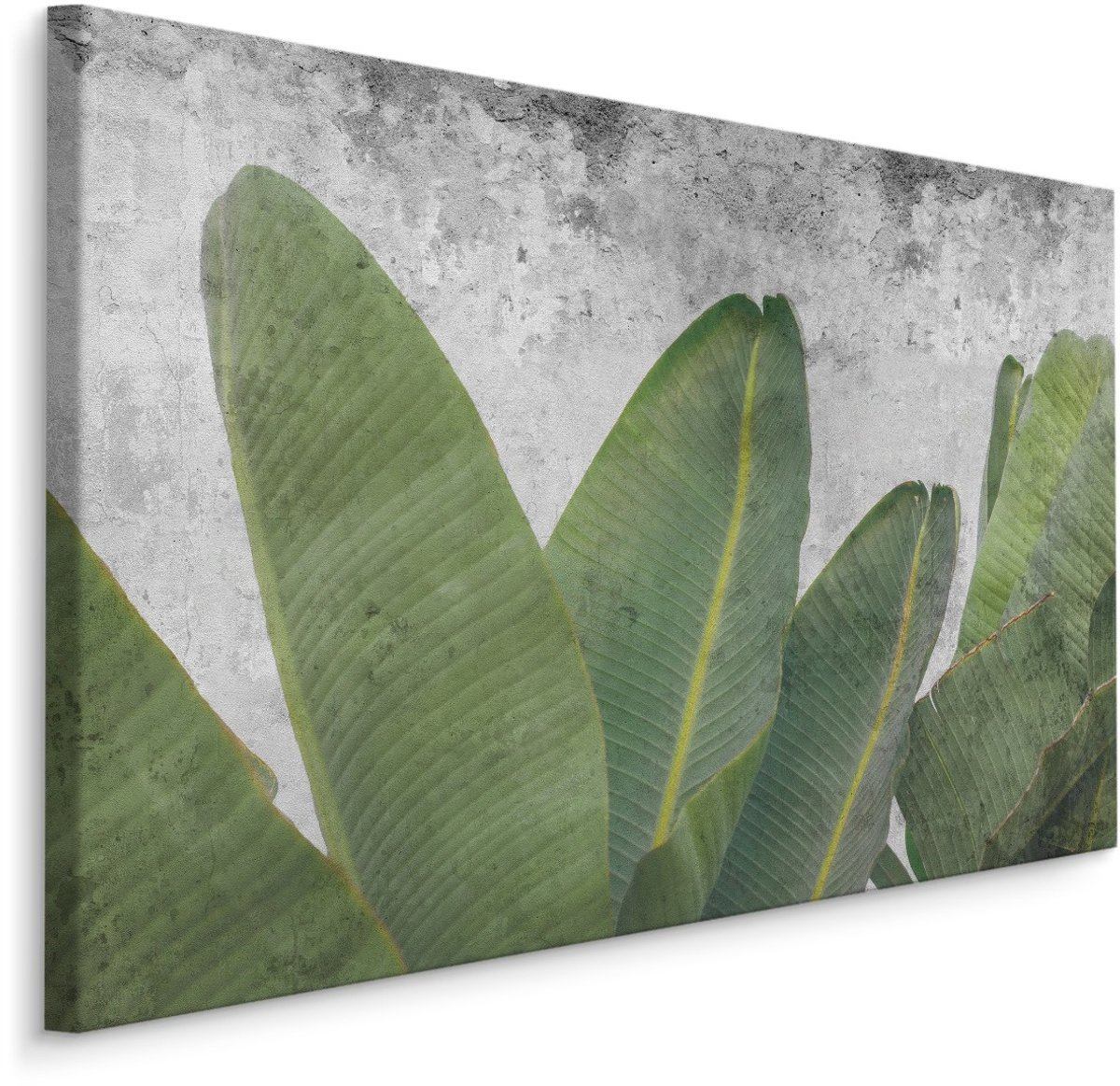 karo-art Schilderij - Tropische bladeren op betonnen achtergrond, groen/grijs, 4 maten, premium print Multikleur