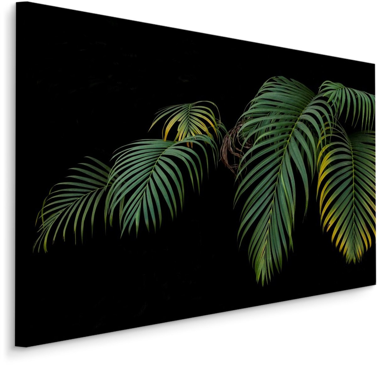 karo-art Schilderij - Tropische palmbladeren zwarte achtergrond, premium print Multikleur