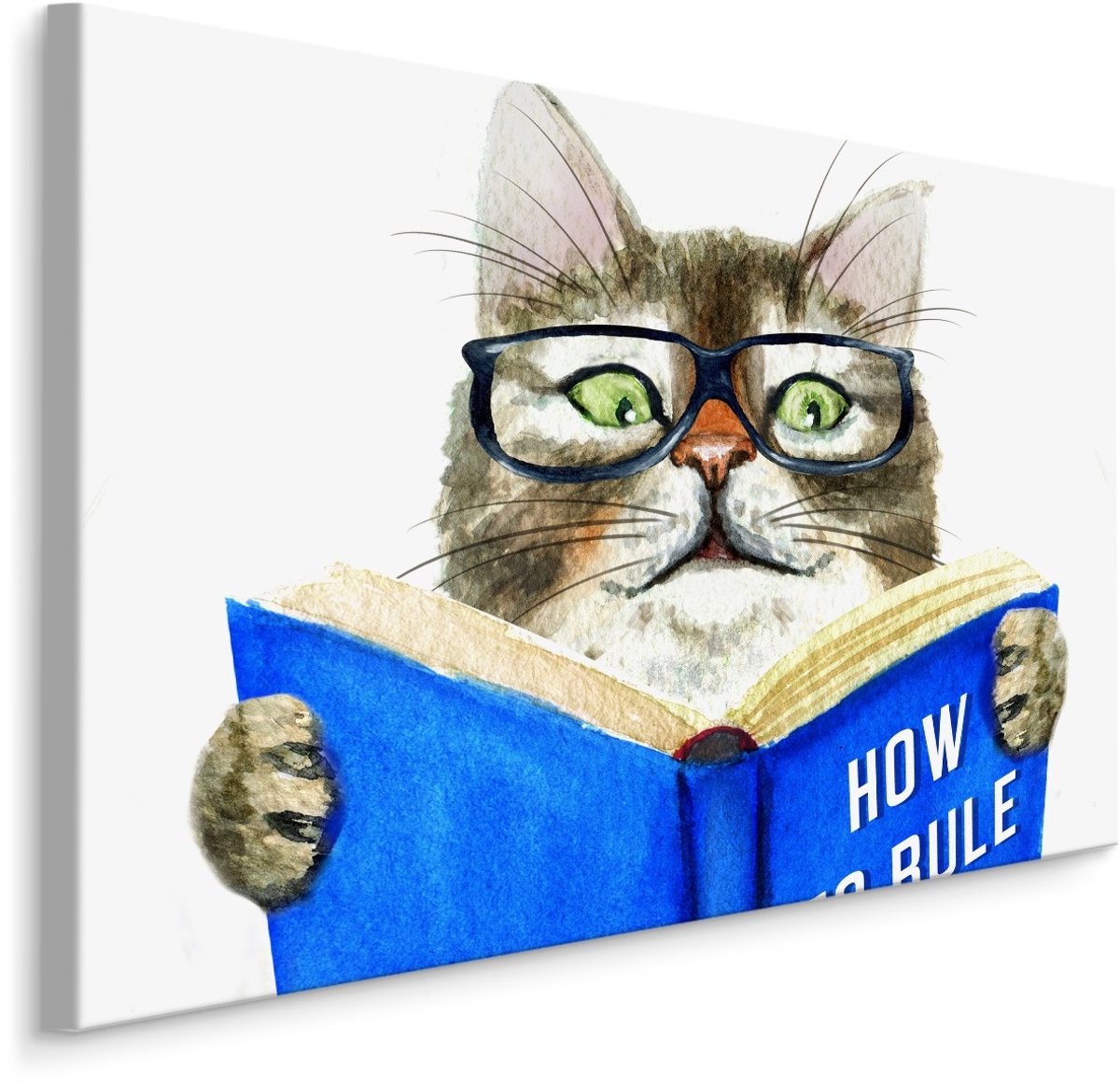 karo-art Schilderij - Kat leest een Boek, Premium Print op Canvas Multikleur