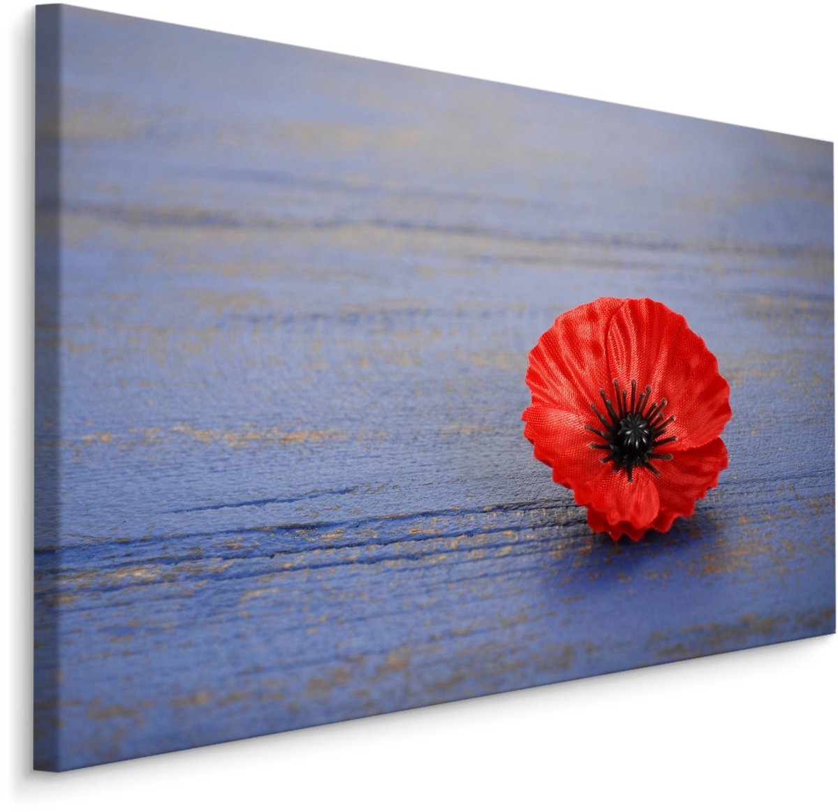 karo-art Schilderij - Klaproos op blauw hout (print op canvas), premium print Multikleur