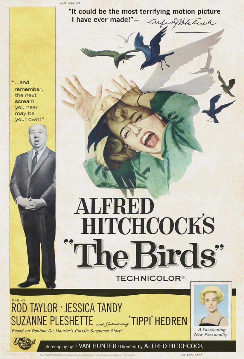 karo-art Poster - Alfred Hitchcock's The Birds, Originele Filmposter, Premium Print, Professioneel Fotopapier Multikleur