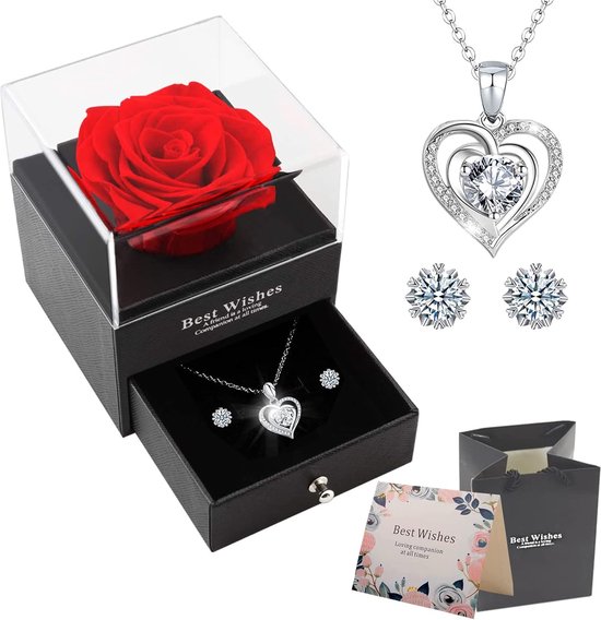 Beauty And The Beast Rose Gift Kit, Roos In Een Glas, Eeuwige Roos Romantische Geschenken Voor Moederdag Verjaardag Valentijnsdag Eerste Kerstdag Huwelijksdag Voor Vrouw Mama Oma Vriendin