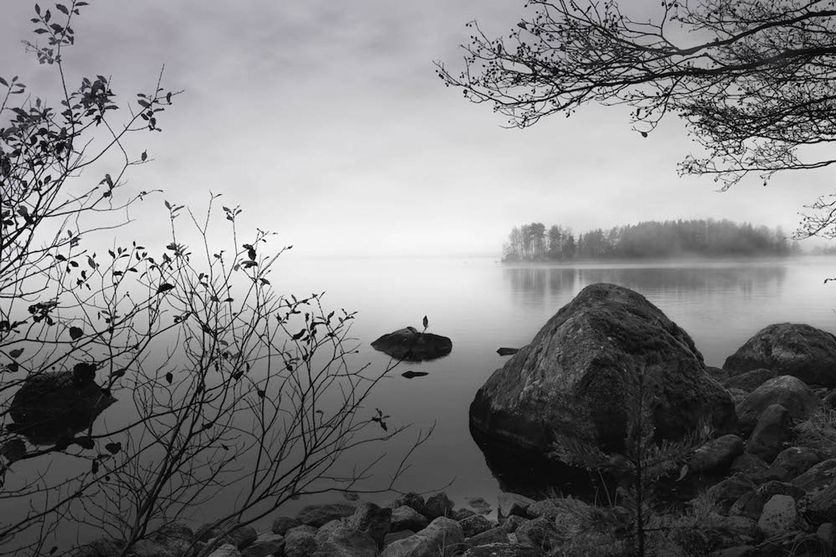 karo-art Schilderij - Meer, steen en bos, Zwart-Wit, 2 maten, Premium print Multikleur