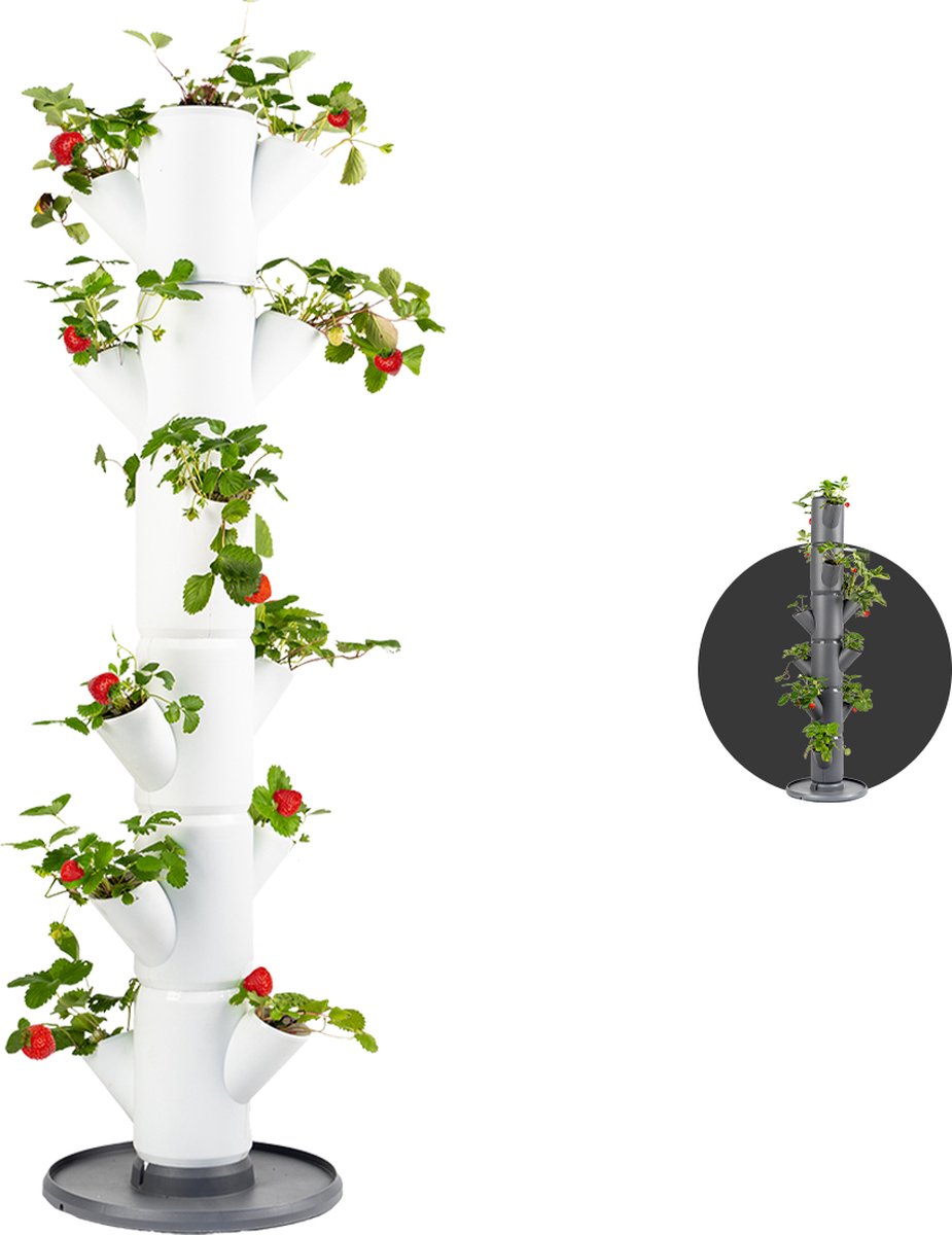 Gusta Garden - Sissi Strawberry - Aardbeien Planten - Aardbeienzak - Kweekbak - Kweektafel - Plantentoren met 6 Levels - Klassiek Wit