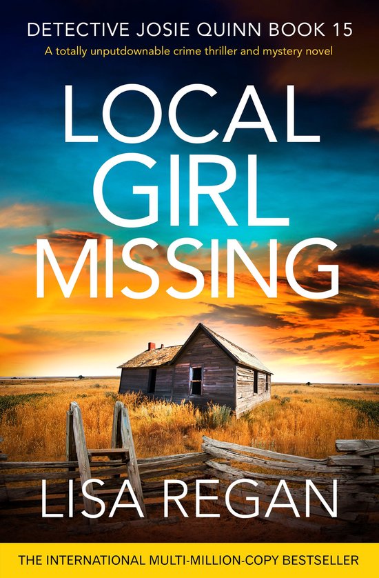 Detective Josie Quinn 15 - Local Girl Missing - cover
