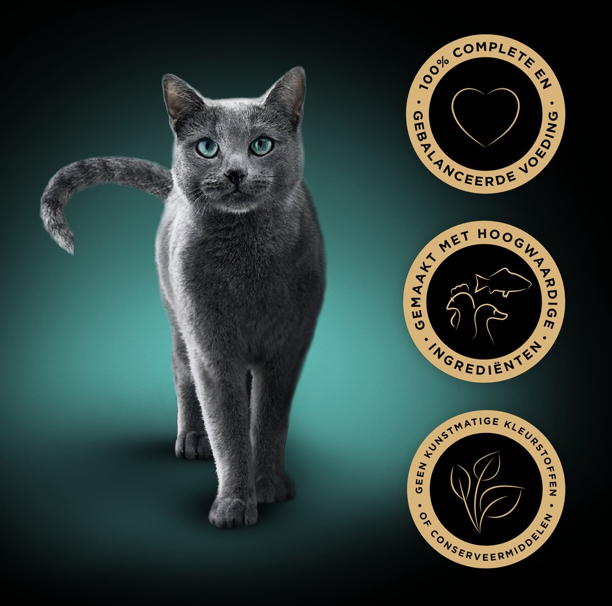 Sheba kattenvoer kip - je vindt het bij