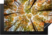 KitchenYeah® Inductie beschermer 77x51 cm - Bos - Bomen - Herfst - Kookplaataccessoires - Afdekplaat voor kookplaat - Inductiebeschermer - Inductiemat - Inductieplaat mat