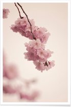 JUNIQE - Poster Forever Spring -20x30 /Roze