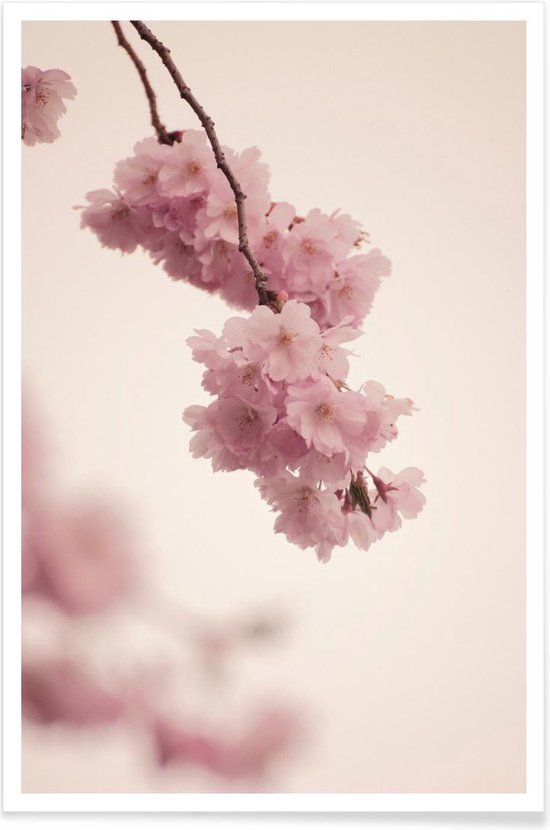 JUNIQE - Poster i premium houten lijst Forever Spring /Roze