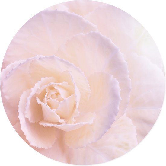 Label2X - Muurcirkel - Soft Flower Pastel - Ø 20 cm - Forex - Multicolor - Wandcirkel - Rond Schilderij - Bloemen en Planten - Muurdecoratie Cirkel - Wandecoratie rond - Decoratie voor woonkamer of slaapkamer