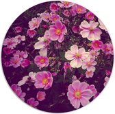 Label2X - Muurcirkel - Roze Bloemen - Ø 12 cm - Forex - Multicolor - Wandcirkel - Rond Schilderij - Bloemen en Planten - Muurdecoratie Cirkel - Wandecoratie rond - Decoratie voor woonkamer of slaapkamer