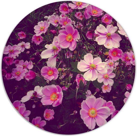 Label2X - Muurcirkel - Roze Bloemen - Ø 12 cm - Forex - Multicolor - Wandcirkel - Rond Schilderij - Bloemen en Planten - Muurdecoratie Cirkel - Wandecoratie rond - Decoratie voor woonkamer of slaapkamer