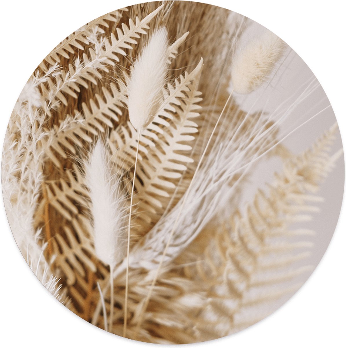 Label2X - Muurcirkel - Pluim - Ø 30 cm - Dibond - Wandcirkel bloem - Bloemen - Wandcirkel natuur - Wandcirkel rond - Wanddecoratie woonkamer - Wandcirkel - Muurcirkel binnen - Wandbord rond - Muurcirkel - WallCircle