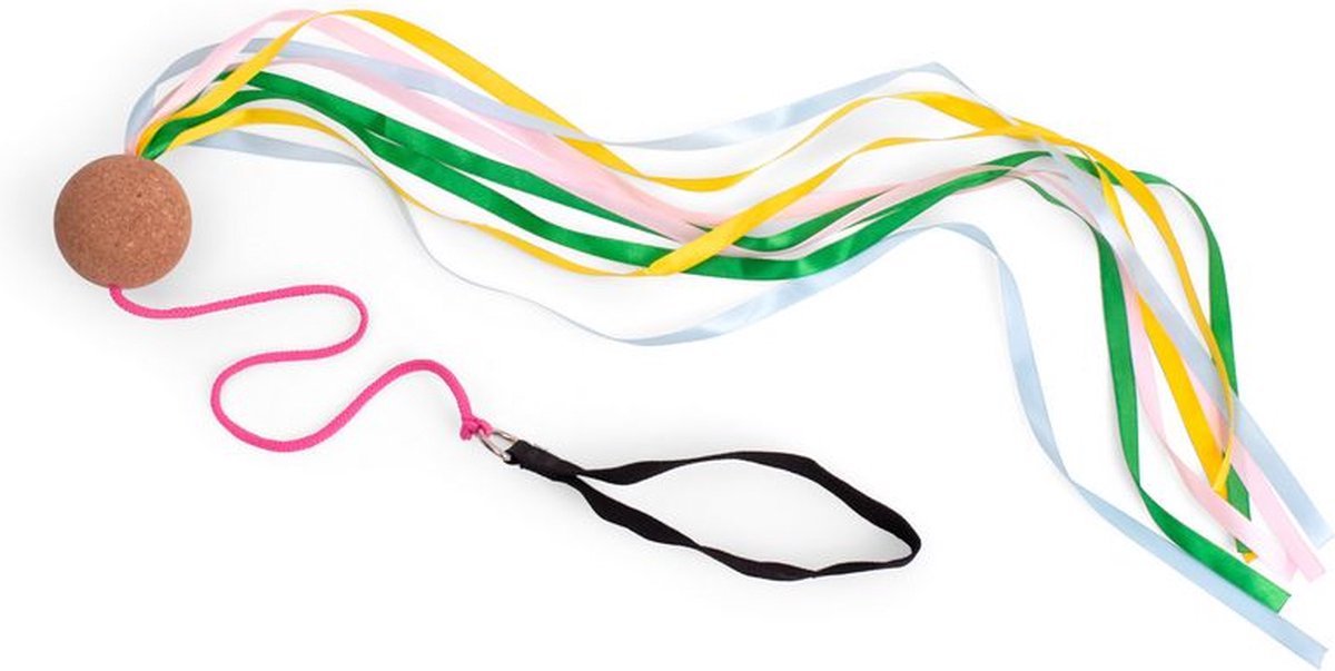 BS Toys Poi Slinger  Dansen  Bewegen  Cadeau Kind  Met gekleurde linten