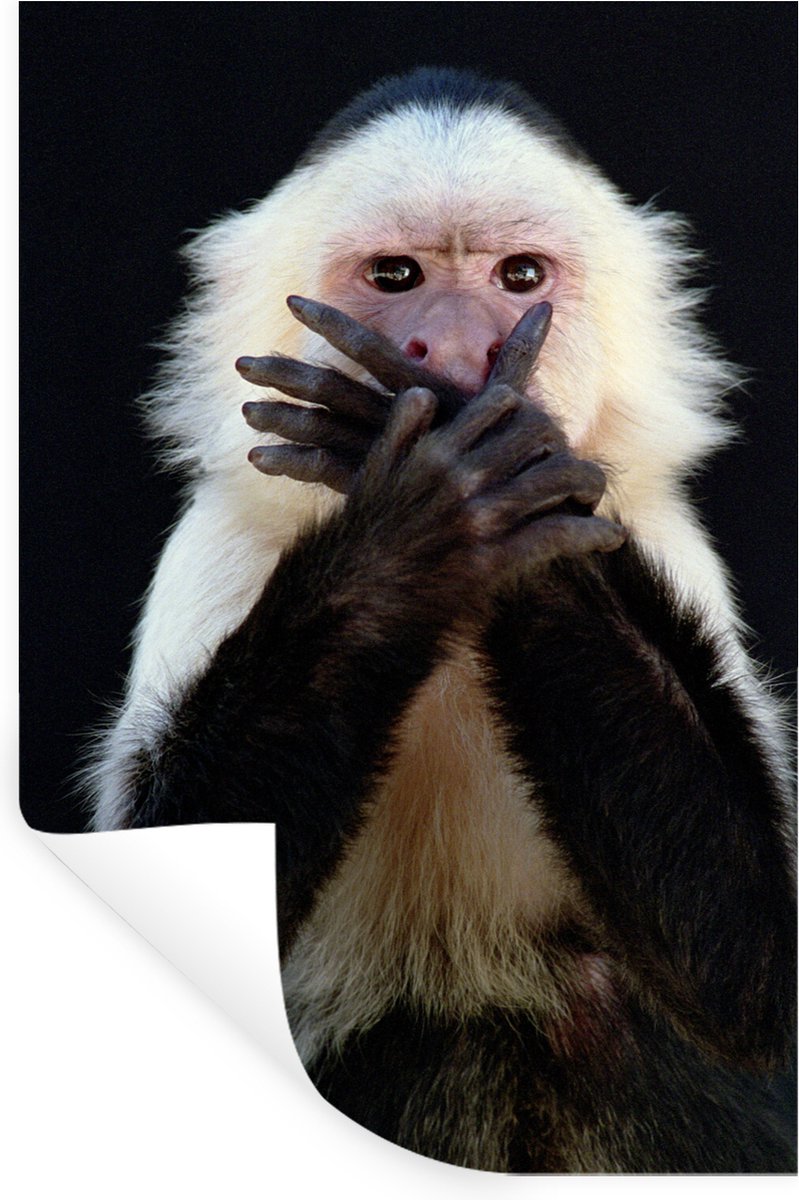 Muurstickers - Sticker Folie - Aap - Wilde dieren - Portret - 60x90 cm - Plakfolie - Muurs