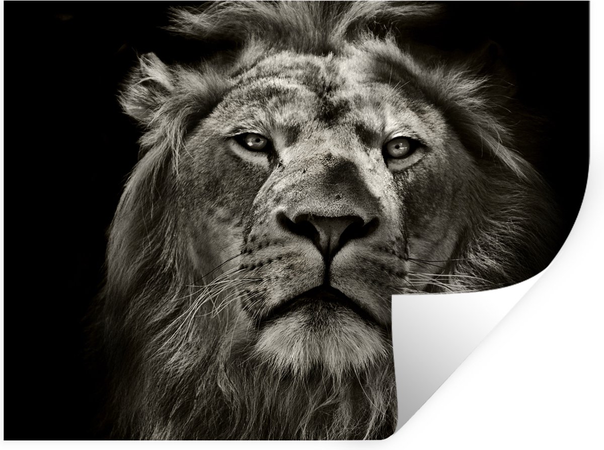 Muurstickers - Sticker Folie - Leeuw - Dieren - Portret - Wild - Zwart wit - 80x60 cm - Pl