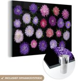 Diverses fleurs d'aster Plexiglas 120x80 cm - Tirage photo sur verre (décoration murale plexiglas)