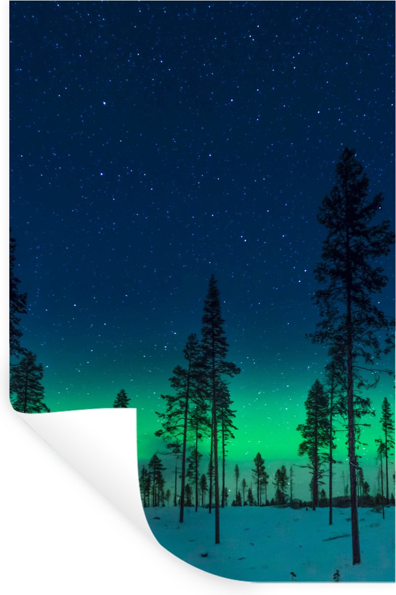 Muurstickers - Sticker Folie - Noorderlicht - Sneeuw - Bomen - Natuur - Groen - 20x30 cm -