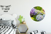WallCircle - Wandcirkel - Muurcirkel - Verschillende hortensia bloemen - Aluminium - Dibond - ⌀ 60 cm - Binnen en Buiten