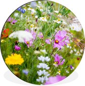 WallCircle - Cercle Mural - Cercle Mural - Fleurs - Nature - Vert - Herbe - Violet - Wit - Aluminium - Dibond - 140x140 cm - Intérieur et Extérieur