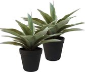 Kunstplanten Agave - 2x - grijs/groen - in zwarte pot - 19 cm
