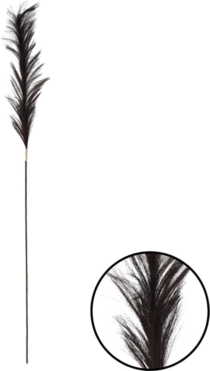 Deco4yourhome® - Pluim - Tak- 4 x 15 x 112 Cm - Zwart - Veer - 4 stuks