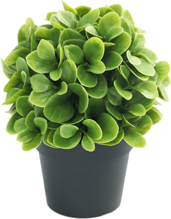 Plante artificielle Murraya 20cm UV - pour l'intérieur et l'extérieur