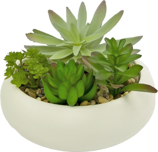 Greenmoods Kunstplanten - Kunstplant - Vetplant - In sierpot - 15 cm - Voor binnen en buiten