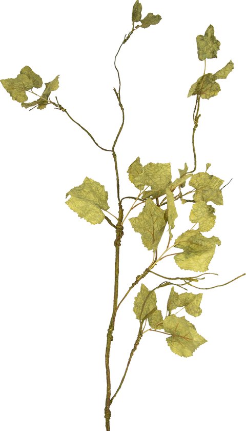 Greenmoods Kunstplanten - Kunstplant - Kunsttak - Gedroogde druiventak - Zijde - 120 cm
