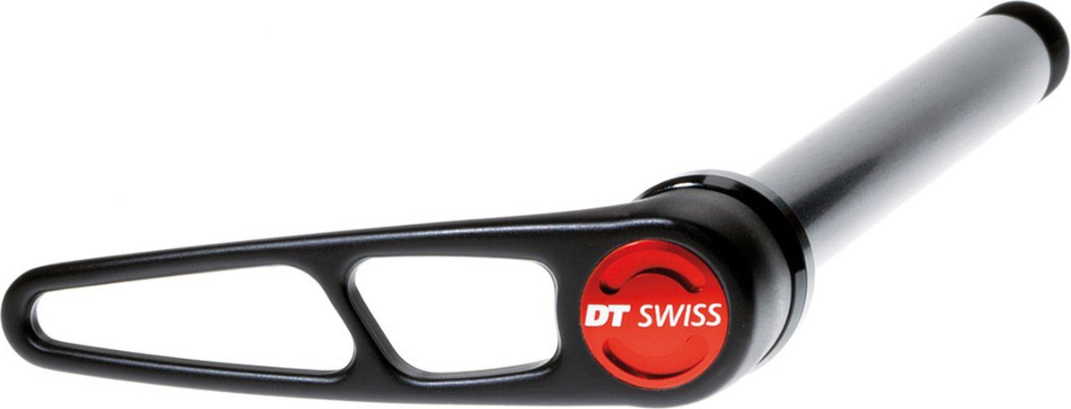 Dt Swiss Rws 10 X12 Steekas Zilver 12 x 148 mm