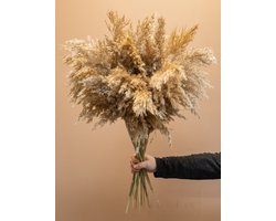 Droogbloemen - boeket 15 x (Wooly) Pampas Pluimen | Rietpluimen | 80 cm