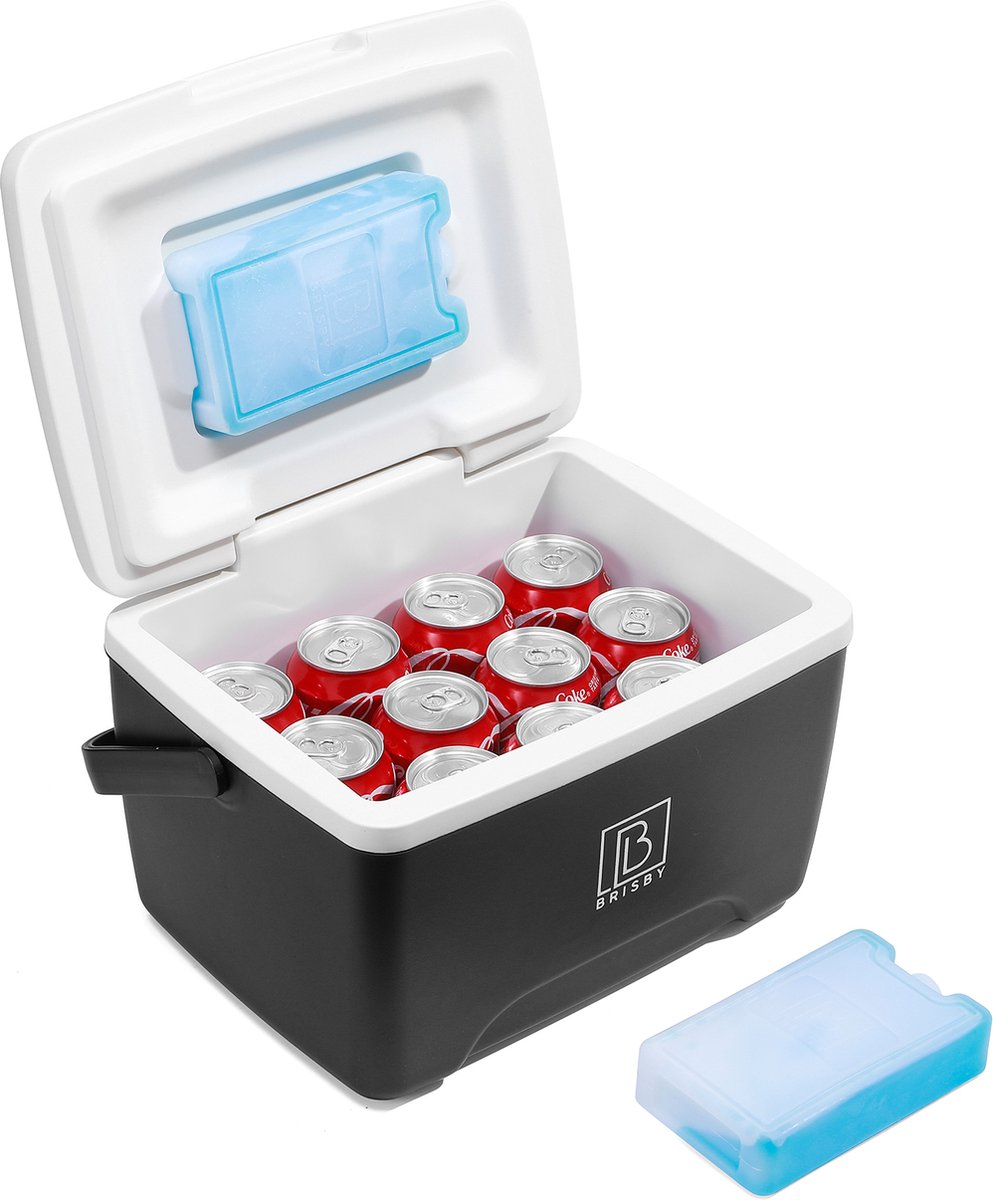 Brisby Koelbox - Frigobox - 8L - Zwart - 40 uur isolatie - 2 koelelementen - Temperatuur Veilige Sluiting