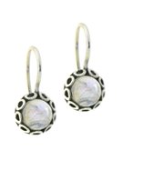 SilverGems Zilveren oorhangers met ronde Regenboog Maansteen edelstenen
