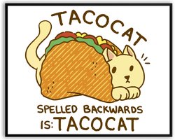 Tacocat fotolijst met glas 30 x 40 cm - kat - eten - mexico - poes - grappig - Woonkamer - Slaapkamer - Harde lijst - Glazen plaat - inclusief ophangsysteem - Grappige Poster - Foto op hoge kwaliteit uitgeprint
