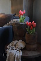 Kunst tulpen | in potje | fel roze | 5 stelen | real touch tulpen | tulpen die net echt lijken | tulp | kunst boeket